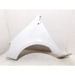 Para-lama dianteiro esquerdo Renault Clio III (BR0/1, CR0/1) | Desguace Becerril