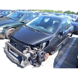 Elenco delle parti per Peugeot 207 Gasolina dell'anno 2010