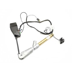 Attache ceinture de sécurité avant gauche Renault Megane II (BM0/1_, CM0/1_) | Desguace Becerril