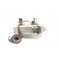 EGR cooler Renault Grand scenic III (JZ0/1_) | Becerril Scrap Yard