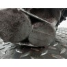 Gearbox Dacia Lodgy (JS_) | Becerril Scrap Yard