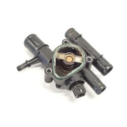 Recambio de termostato para renault laguna ii (bg0) authentique referencia OEM IAM   