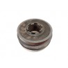 Recambio de polea cigueñal para bmw serie 3 berlina (e46) 320d referencia OEM IAM   