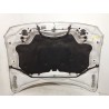 Recambio de capot para jaguar xe (x760) 2.0 d referencia OEM IAM   