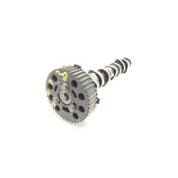 Recambio de arbol de levas para volkswagen golf v variant (1k5) 1.9 tdi referencia OEM IAM 038109111E  