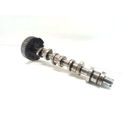 Recambio de arbol de levas para volkswagen golf v variant (1k5) 1.9 tdi referencia OEM IAM 038109111E  