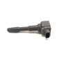 Recambio de bobina encendido para renault scenic iii referencia OEM IAM 224332428R  