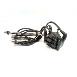 Recambio de bobina encendido para seat ibiza ii (6k1) 1.0 i referencia OEM IAM 032905106B  