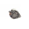 Recambio de alternador para renault rapid/express (f40) 1.9 diesel referencia OEM IAM 2541313  