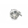 Alternador Jaguar X-type I (X400) | Desguace Becerril