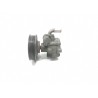 Recambio de bomba dirección para seat ibiza (6k1) select referencia OEM IAM 6N0422154F 038145255A 