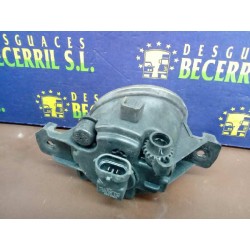 Recambio de faro antiniebla derecho para renault clio iii confort dynamique referencia OEM IAM   