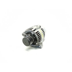 ALTERNADOR 1X4310300BD 