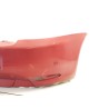 Recambio de paragolpes trasero para alfa romeo gt (937_) 1.9 jtd (937cxn1b) referencia OEM IAM   