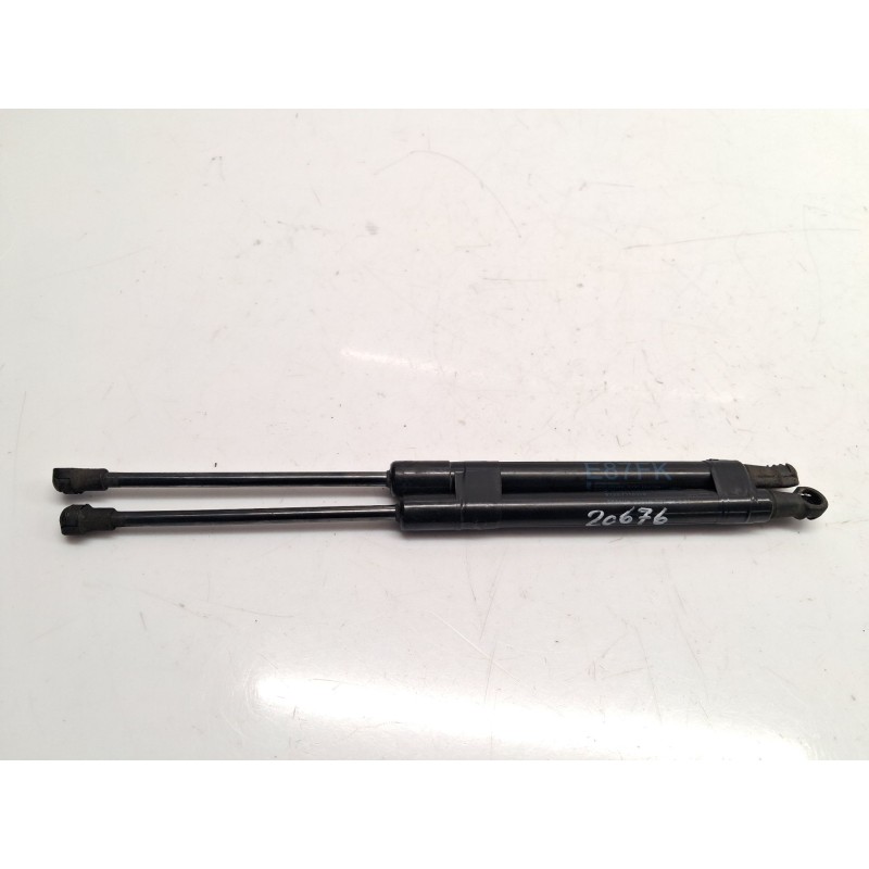 Kofferraum- / Heckklappendämpfer BMW 1 (E87) | Desguace Becerril