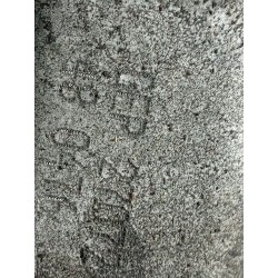 Gearbox Seat Ibiza III (6L1) | Becerril Scrap Yard