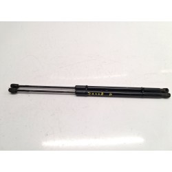 Trunk/boot lid struts Peugeot 5008 (0U_, 0E_) | Becerril Scrap Yard