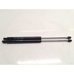 Trunk/boot lid struts Hyundai Trajet (fo) | Becerril Scrap Yard