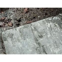 Radiator gearbox Seat Alhambra (7V8, 7V9) | Becerril Scrap Yard