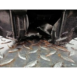 Complete engine Volkswagen Golf IV (1J1) | Becerril Scrap Yard