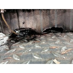 Complete engine Volkswagen Golf IV (1J1) | Becerril Scrap Yard