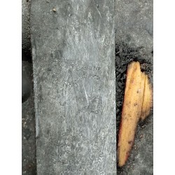 Getriebeölkühler Seat Leon (1P1) | Desguace Becerril