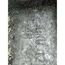 Recambio de caja cambios para volkswagen polo iv (9n_, 9a_) 1.2 referencia OEM IAM GKU  