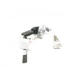 Diebstahlschutzantenne Seat Altea XL (5P5, 5P8) | Desguace Becerril