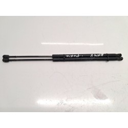 Trunk/boot lid struts Fiat Qubo (225_) | Becerril Scrap Yard