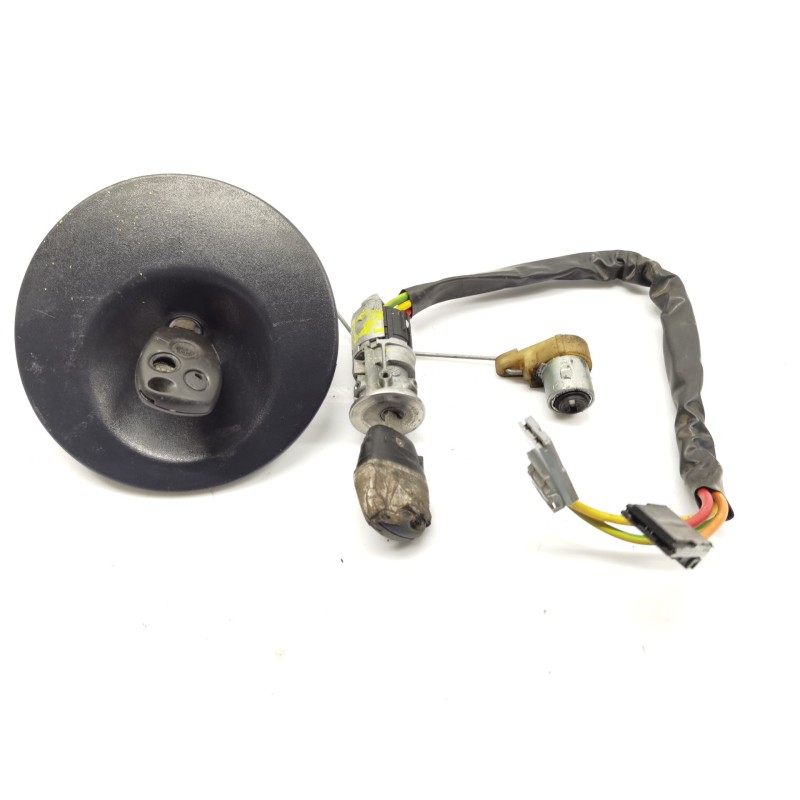 Diebstahlschutzantenne Renault Kangoo (KC0/1_) | Desguace Becerril