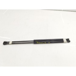 Trunk/boot lid struts Renault SCÉNIC II (JM0/1_) | Becerril Scrap Yard
