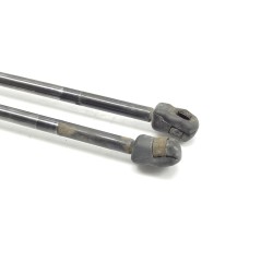 Recambio de amortiguadores maletero/ portón para ford grand c-max (dxa/cb7, dxa/ceu) 1.0 ecoboost referencia OEM IAM TG11A02001 