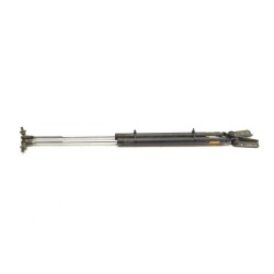 Trunk/boot lid struts subaru outback (br)