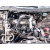 nissan primera (p12) del año 2005
