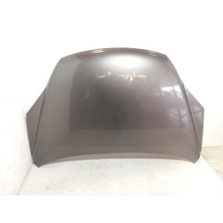 Recambio de capot para honda cr-v iii (re_) 2.2 i-dtec 4wd (re6) referencia OEM IAM   