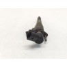 Injecteur Mazda 3 (bl) | Desguace Becerril