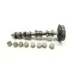 Recambio de arbol de levas para seat leon (1p1) 1.9 tdi referencia OEM IAM 038109111e 1079300 
