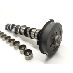 Recambio de arbol de levas para seat leon (1p1) 1.9 tdi referencia OEM IAM 038109111e 1079300 