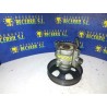 Recambio de bomba direccion para citroen xsara berlina referencia OEM IAM   