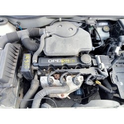 Aufschlüsselung der Teile für Opel astra g berlina Club Gasolina aus dem Jahr 1999 mit Motor X16SZR