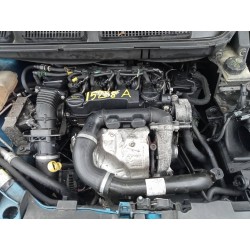 Detalhamento das peças para Ford focus C-max (cap) Ambiente (D) Diesel do ano 2005 com motor G8DA