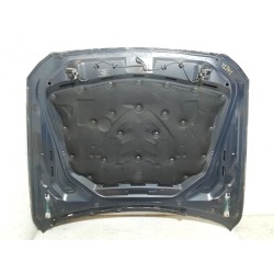 Recambio de capot para bmw 5 touring (f11) 520 d referencia OEM IAM   