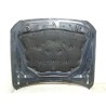 Recambio de capot para bmw 5 touring (f11) 520 d referencia OEM IAM   