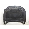 Recambio de capot para bmw 5 touring (e61) 530 d referencia OEM IAM   