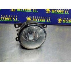 Recambio de faro antiniebla derecho para renault scenic ii confort authentique referencia OEM IAM   