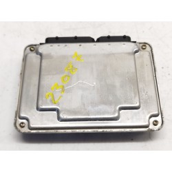 Unité de commande moteur (UCE) Seat Leon (1M1) | Desguace Becerril