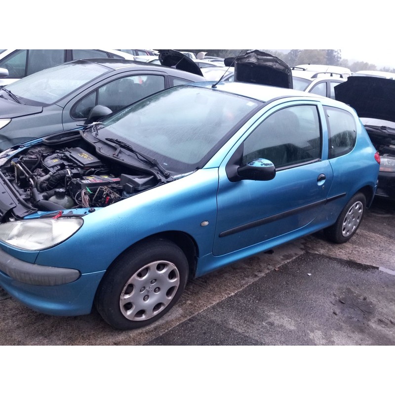 peugeot 206 hatchback (2a/c) del año 2002