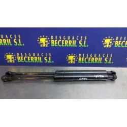 Recambio de amortiguadores capo para bmw serie 3 berlina (e46) 320d referencia OEM IAM 51238202688  