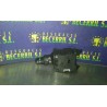 Recambio de mando luces para renault scenic ii authentique referencia OEM IAM   