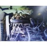 Recambio de motor y cambio exportacion para seat ibiza (6k) básico referencia OEM IAM   